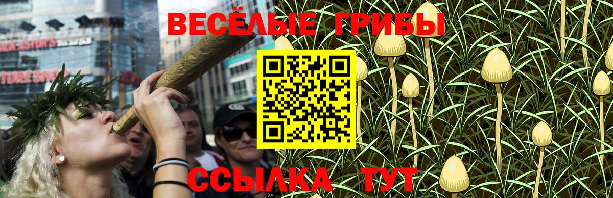 Псилоцибиновые грибы ЛСД  Галлюциногенные грибы Psilocybe  Вход с VPN  хочу   Кострома 