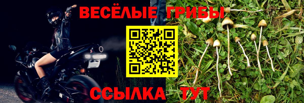 Кострома  Вход с VPN  LSD-25  ГАШ  Мефедрон   КОКАИН  МАРИХУАНА 
